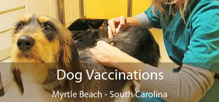 Dog Vaccinations Myrtle Beach - South Carolina