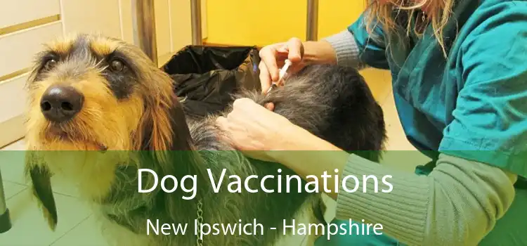 Dog Vaccinations New Ipswich - Hampshire