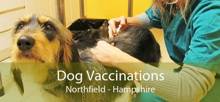 Dog Vaccinations Northfield - Hampshire