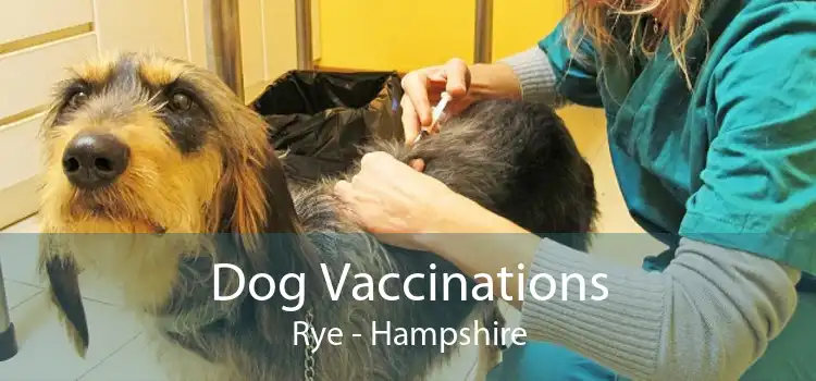 Dog Vaccinations Rye - Hampshire