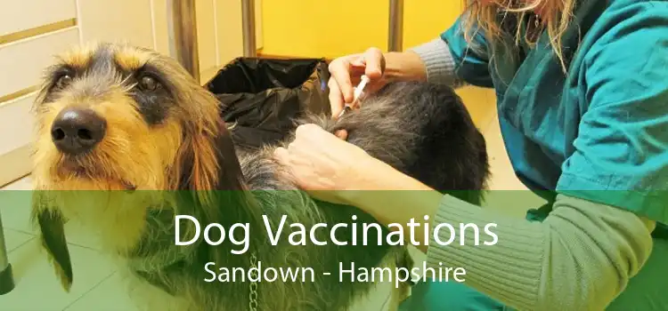 Dog Vaccinations Sandown - Hampshire
