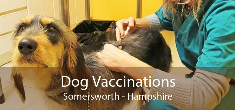 Dog Vaccinations Somersworth - Hampshire