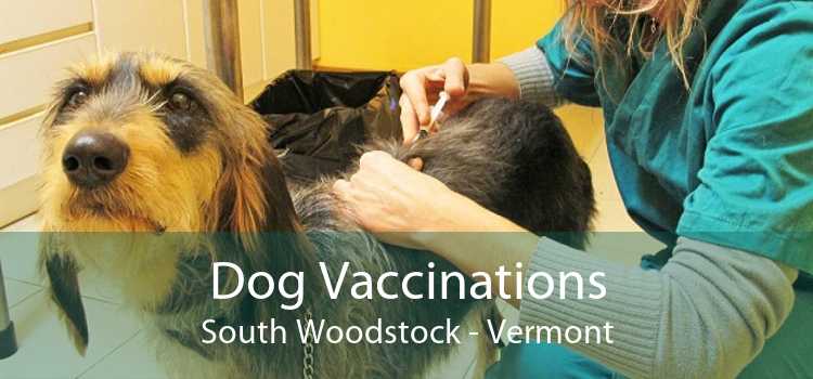Dog Vaccinations South Woodstock - Vermont
