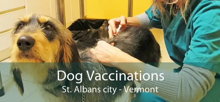 Dog Vaccinations St. Albans city - Vermont