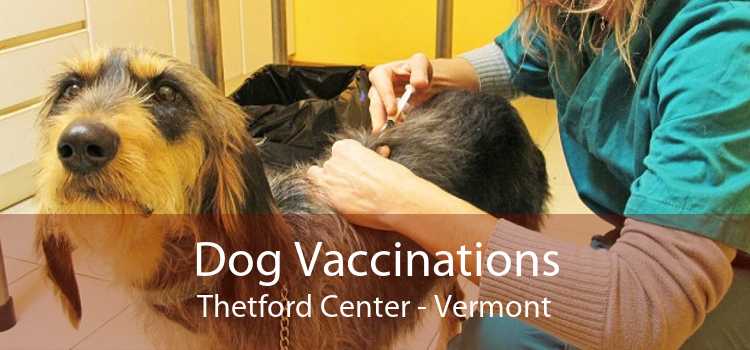 Dog Vaccinations Thetford Center - Vermont