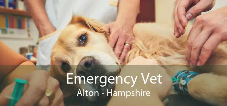 Emergency Vet Alton - Hampshire