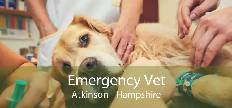 Emergency Vet Atkinson - Hampshire