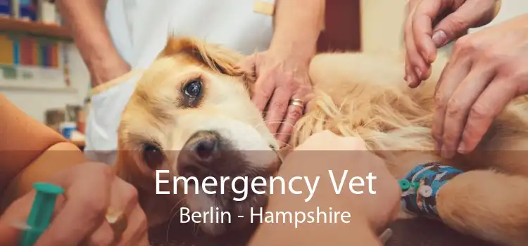 Emergency Vet Berlin - Hampshire