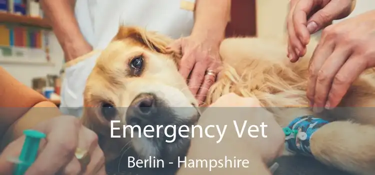 Emergency Vet Berlin - Hampshire