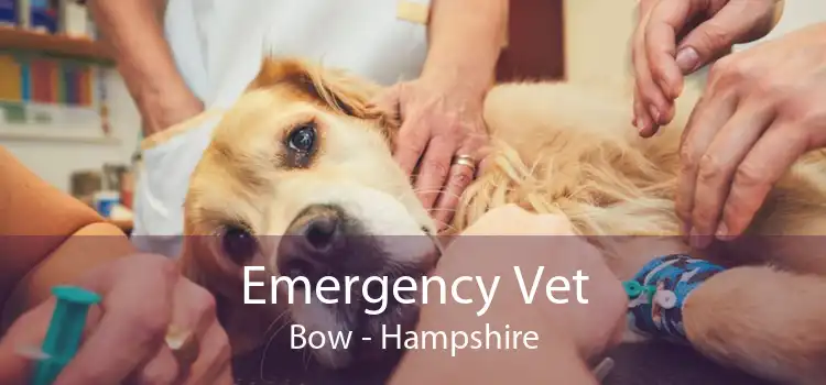 Emergency Vet Bow - Hampshire