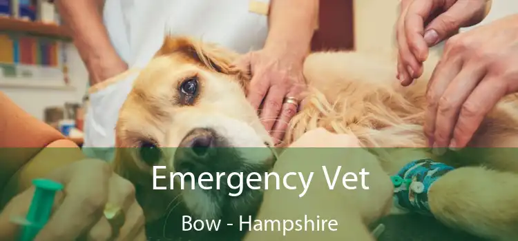 Emergency Vet Bow - Hampshire