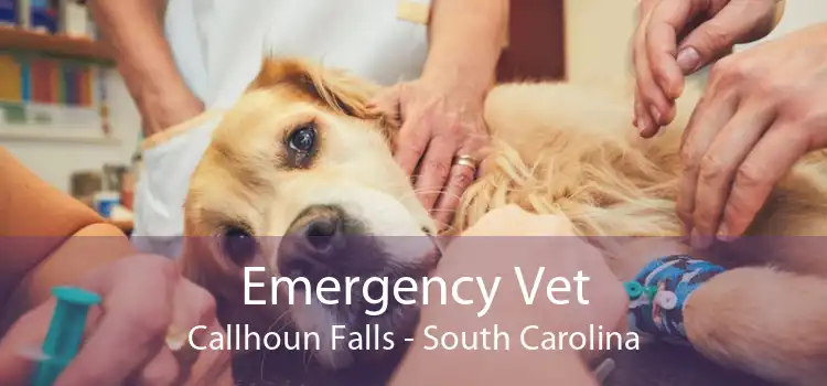 Emergency Vet Callhoun Falls - South Carolina