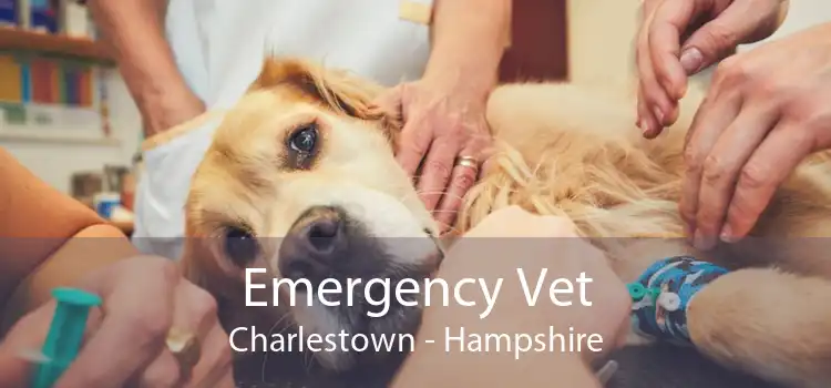 Emergency Vet Charlestown - Hampshire