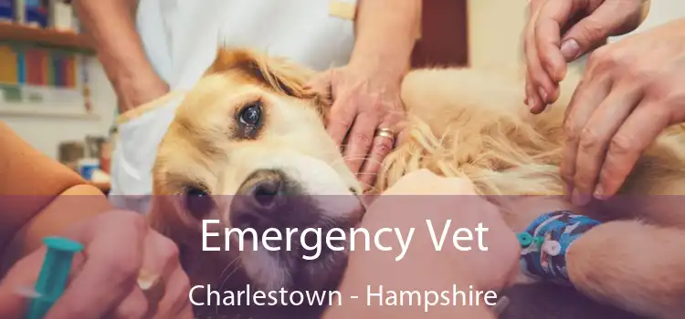 Emergency Vet Charlestown - Hampshire