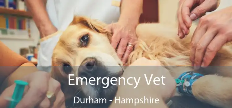 Emergency Vet Durham - Hampshire