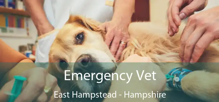 Emergency Vet East Hampstead - Hampshire