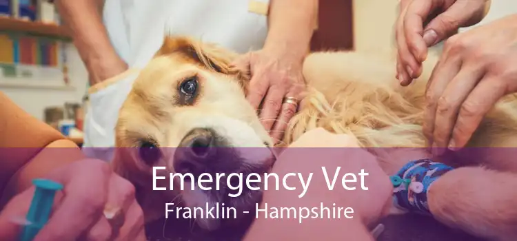 Emergency Vet Franklin - Hampshire