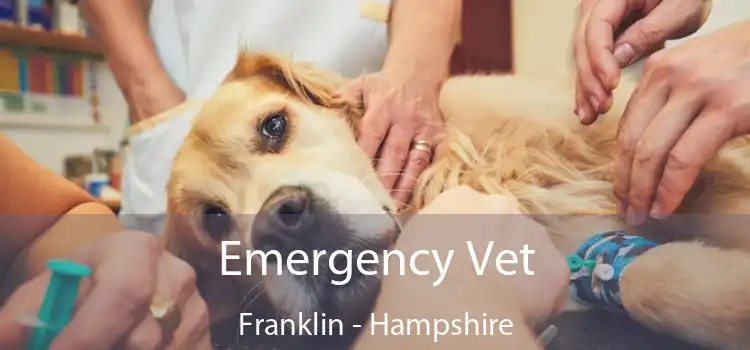 Emergency Vet Franklin - Hampshire