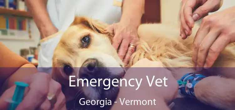 Emergency Vet Georgia - Vermont