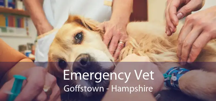Emergency Vet Goffstown - Hampshire