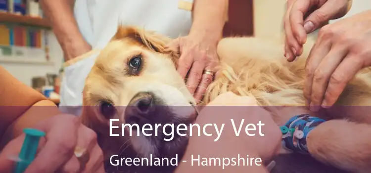 Emergency Vet Greenland - Hampshire