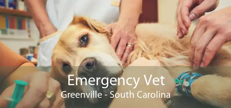 Emergency Vet Greenville - South Carolina