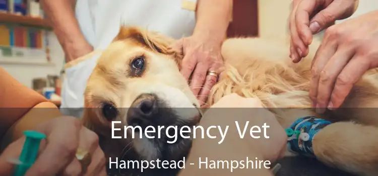 Emergency Vet Hampstead - Hampshire