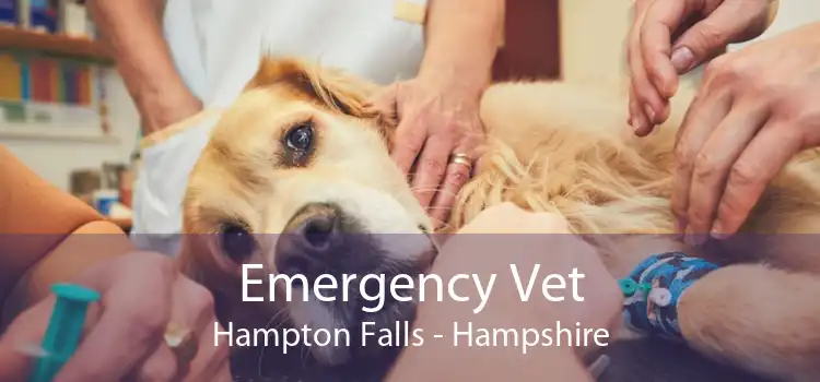 Emergency Vet Hampton Falls - Hampshire