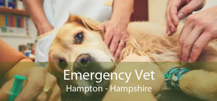 Emergency Vet Hampton - Hampshire
