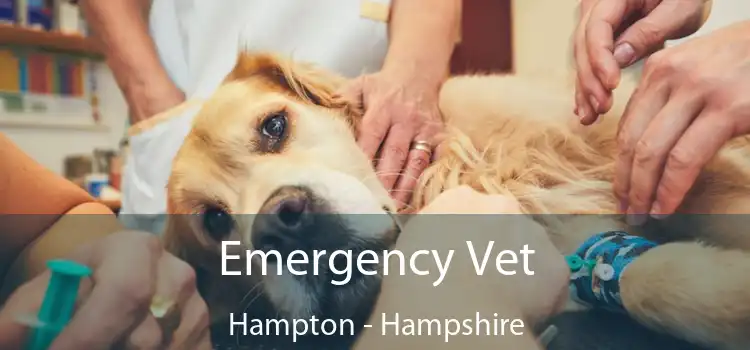 Emergency Vet Hampton - Hampshire