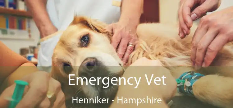 Emergency Vet Henniker - Hampshire