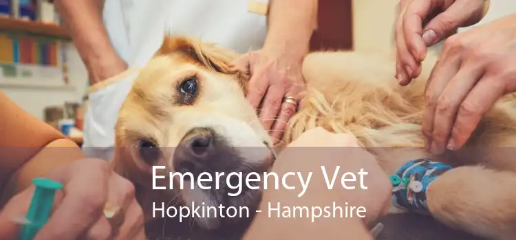 Emergency Vet Hopkinton - Hampshire