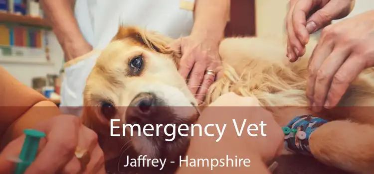 Emergency Vet Jaffrey - Hampshire