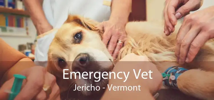 Emergency Vet Jericho - Vermont