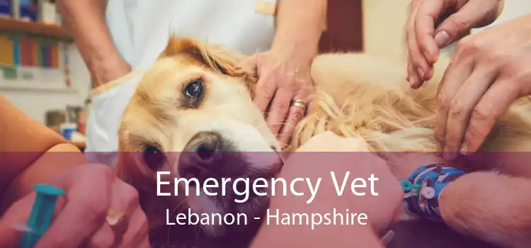 Emergency Vet Lebanon - Hampshire
