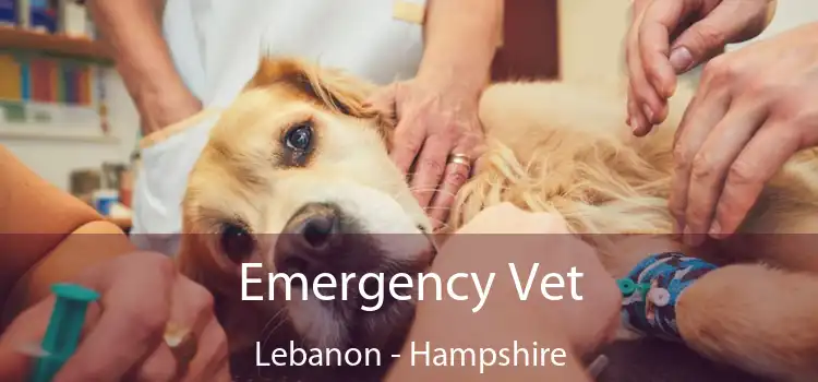 Emergency Vet Lebanon - Hampshire