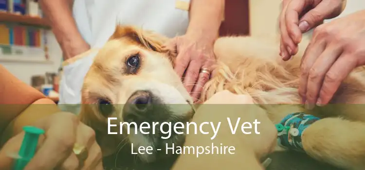 Emergency Vet Lee - Hampshire