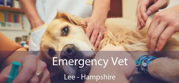 Emergency Vet Lee - Hampshire