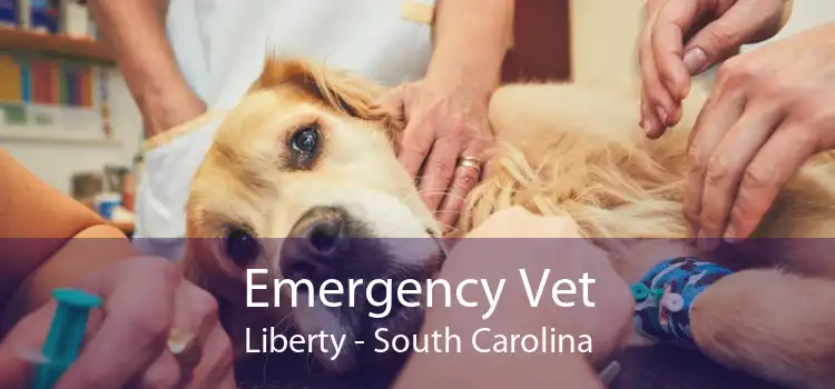Emergency Vet Liberty - South Carolina