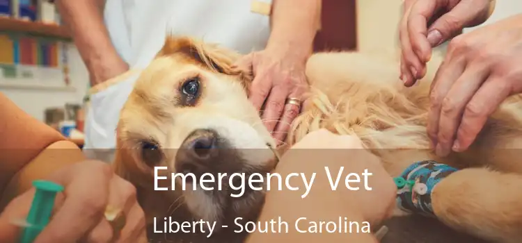 Emergency Vet Liberty - South Carolina