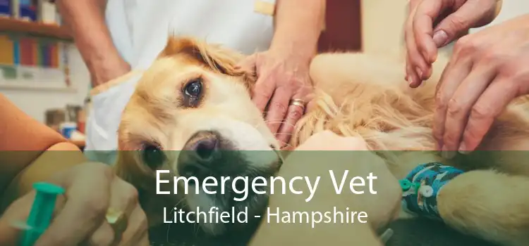 Emergency Vet Litchfield - Hampshire