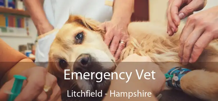 Emergency Vet Litchfield - Hampshire