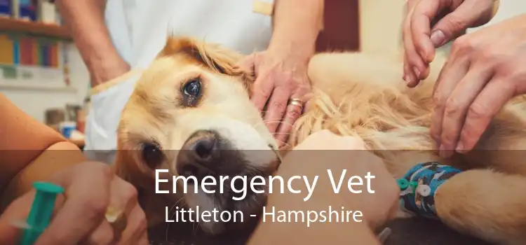 Emergency Vet Littleton - Hampshire
