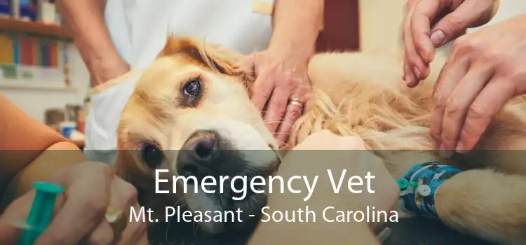 Emergency Vet Mt. Pleasant - South Carolina