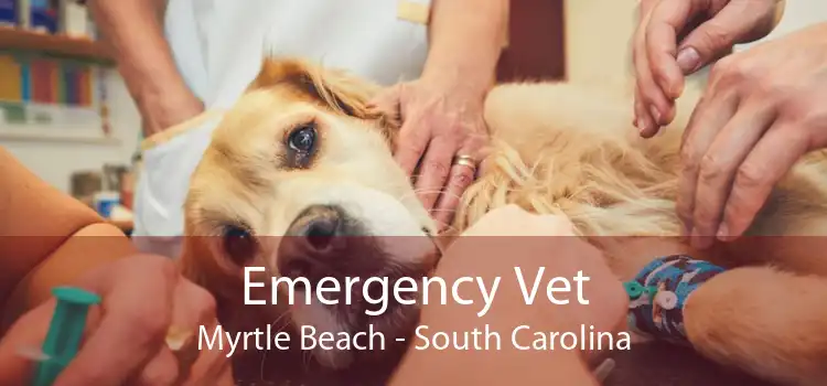 Emergency Vet Myrtle Beach - South Carolina