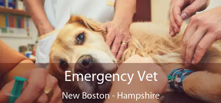 Emergency Vet New Boston - Hampshire