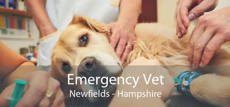 Emergency Vet Newfields - Hampshire