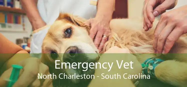 Emergency Vet North Charleston - South Carolina