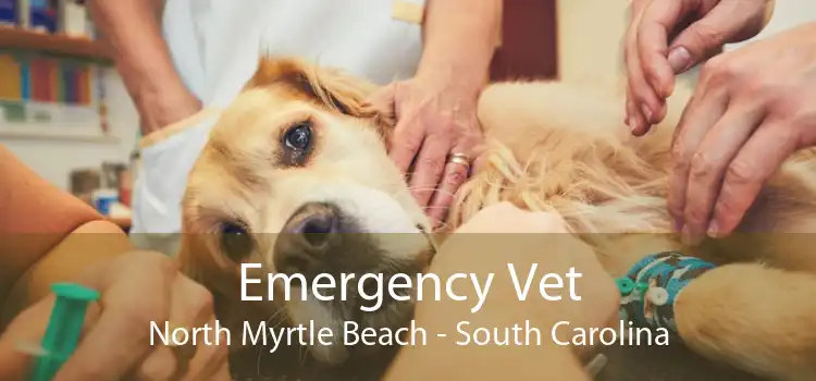 Emergency Vet North Myrtle Beach - South Carolina