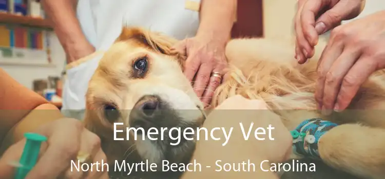 Emergency Vet North Myrtle Beach - South Carolina